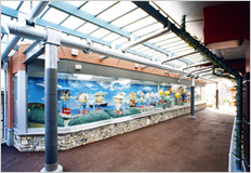 �݌v�ė��ʐ^�F�ԉ��w2