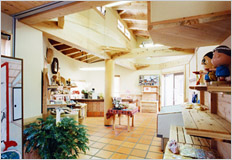 �݌v�ė��ʐ^�F�ԉ��w3